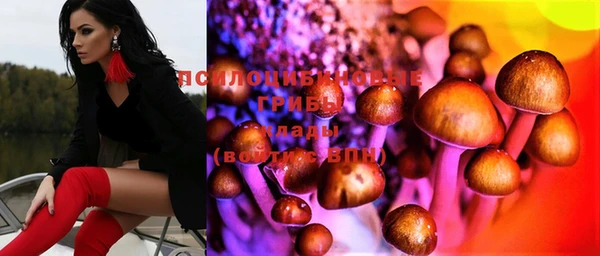 jwh Алзамай