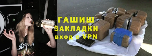 стаф Алексин