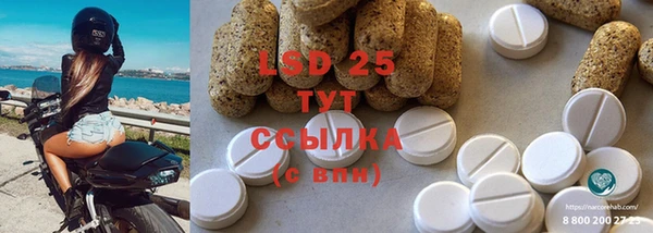 стаф Алексин