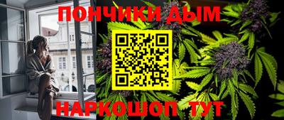 шишки Моздок