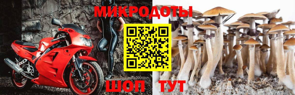 Псилоцибиновые грибы прущие грибы  Вход с VPN  Выкса 